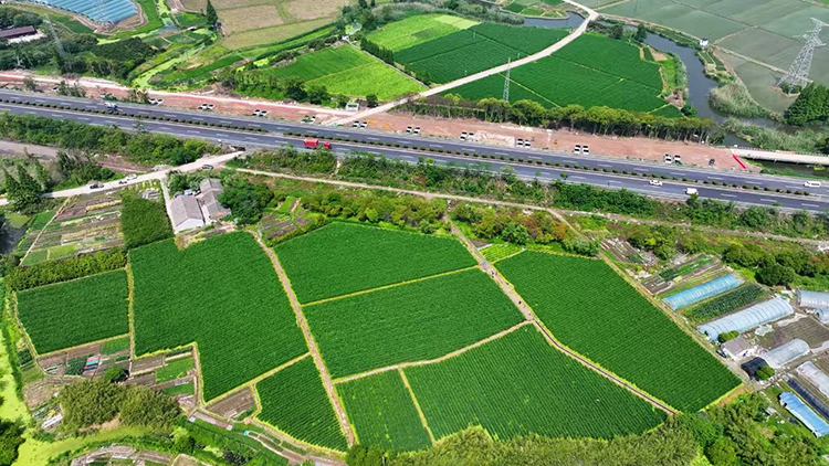 在東江之畔，亭山茭白有點(diǎn)甜